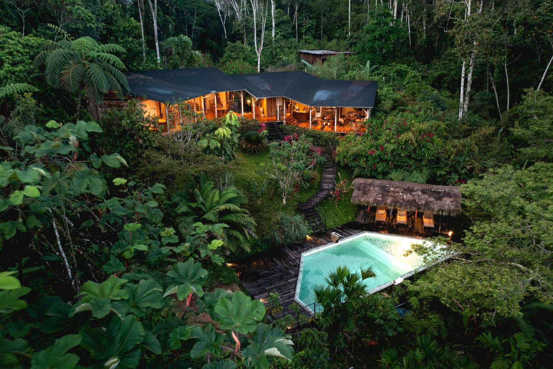 Explorar el Amazonia de la mano de Hamadryade Lodge