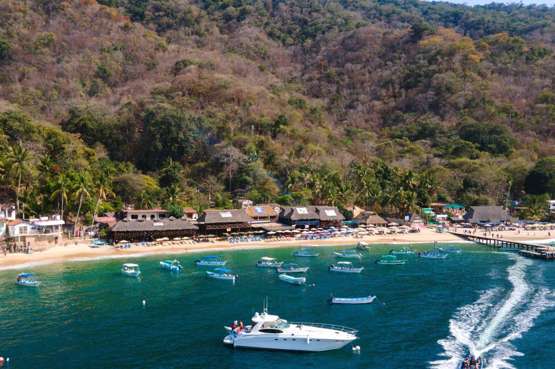 Alquiler de yates en Puerto Vallarta con Yatezzitos