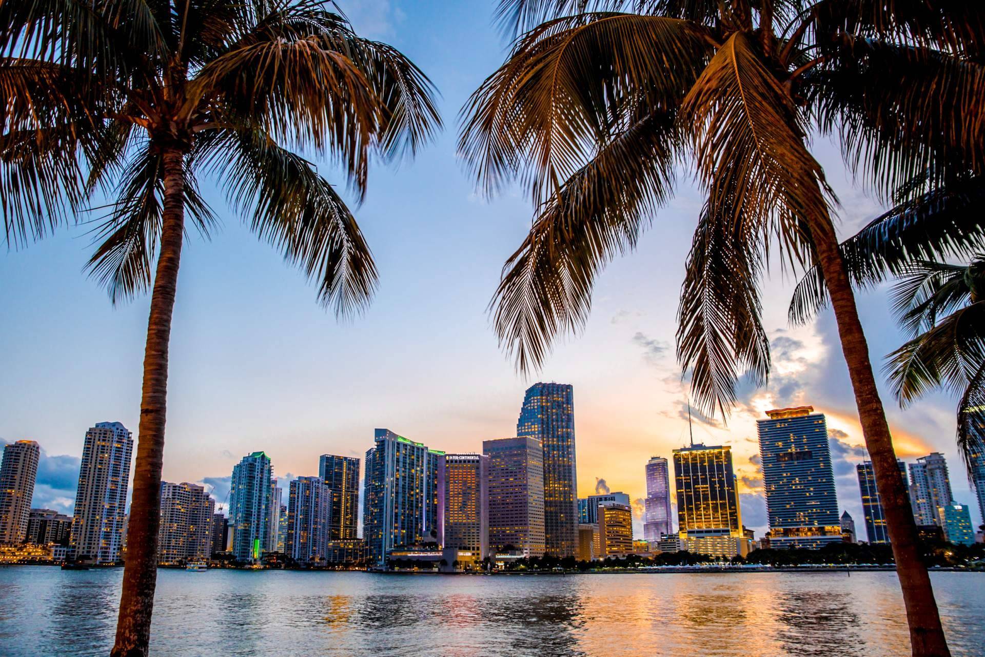 UTG Miami es una inmobiliaria en Miami que ofrece una amplia variedad de apartamentos en preconstrucción
