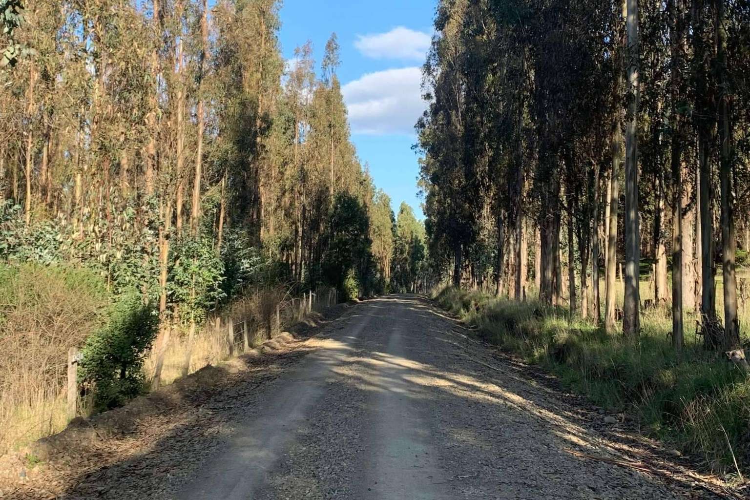 Chile ofrece estabilidad económica y bajas tasas de interés con calidad de vida asegurada