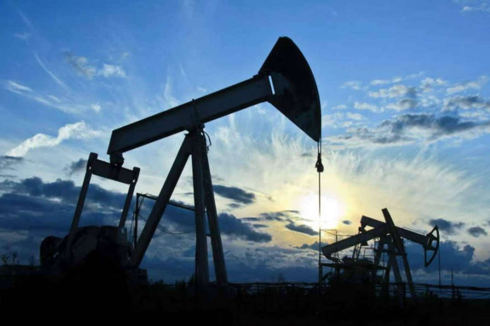 Con más de 14 años en el mercado, Polynex impulsa la sostenibilidad en la industria energética